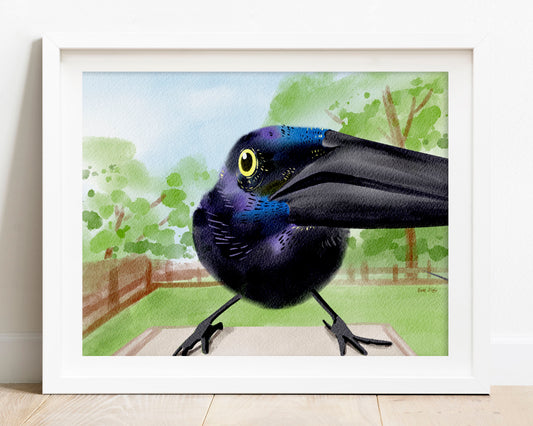 Funny Texas grackle wall art print
