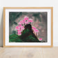 pink mushroom art print