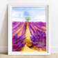 nature art print lavender field